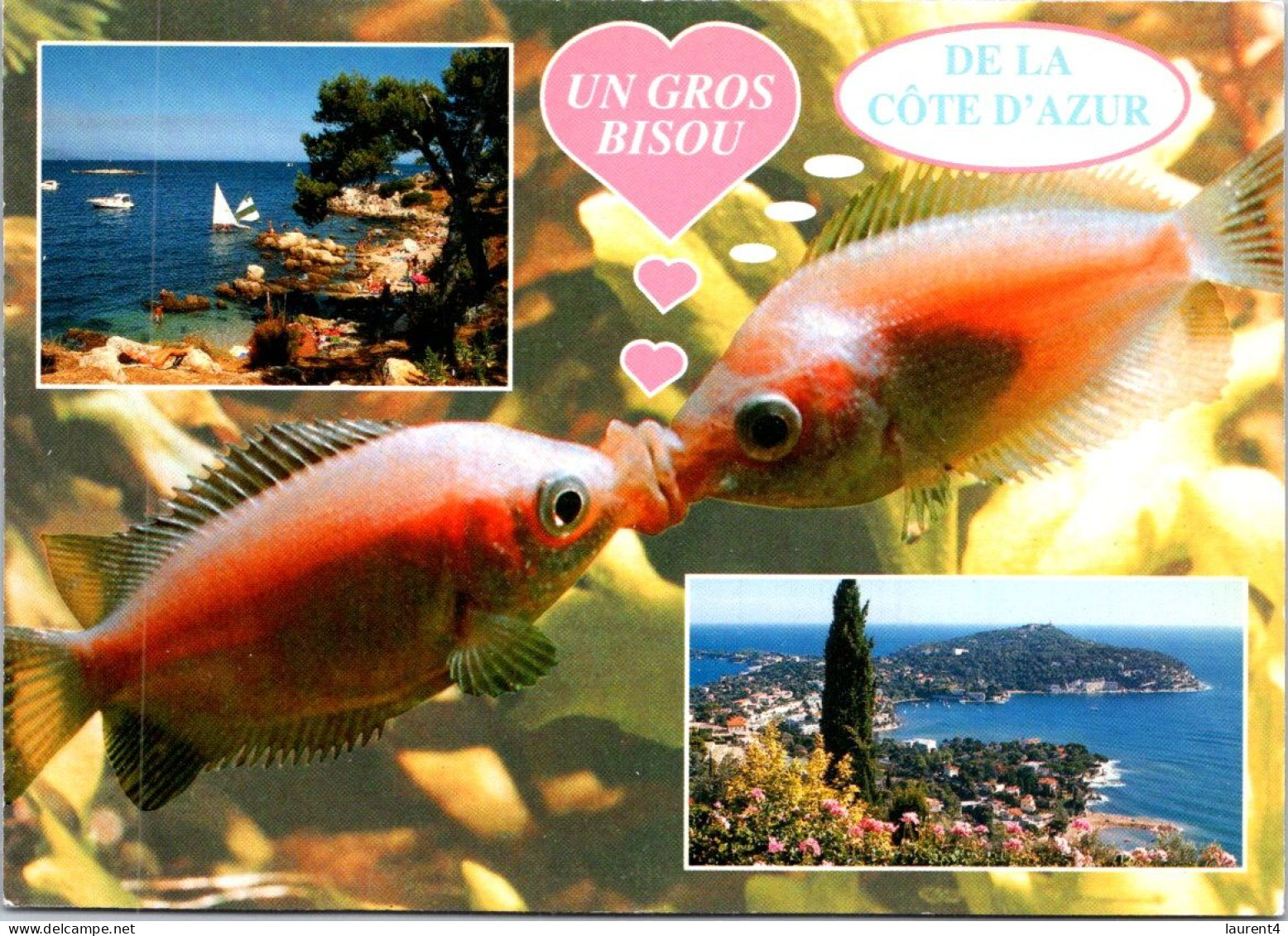 20-4-2024 (2 Z 31) France - Poissons Et Côte D'Azur (fish) - Vissen & Schaaldieren