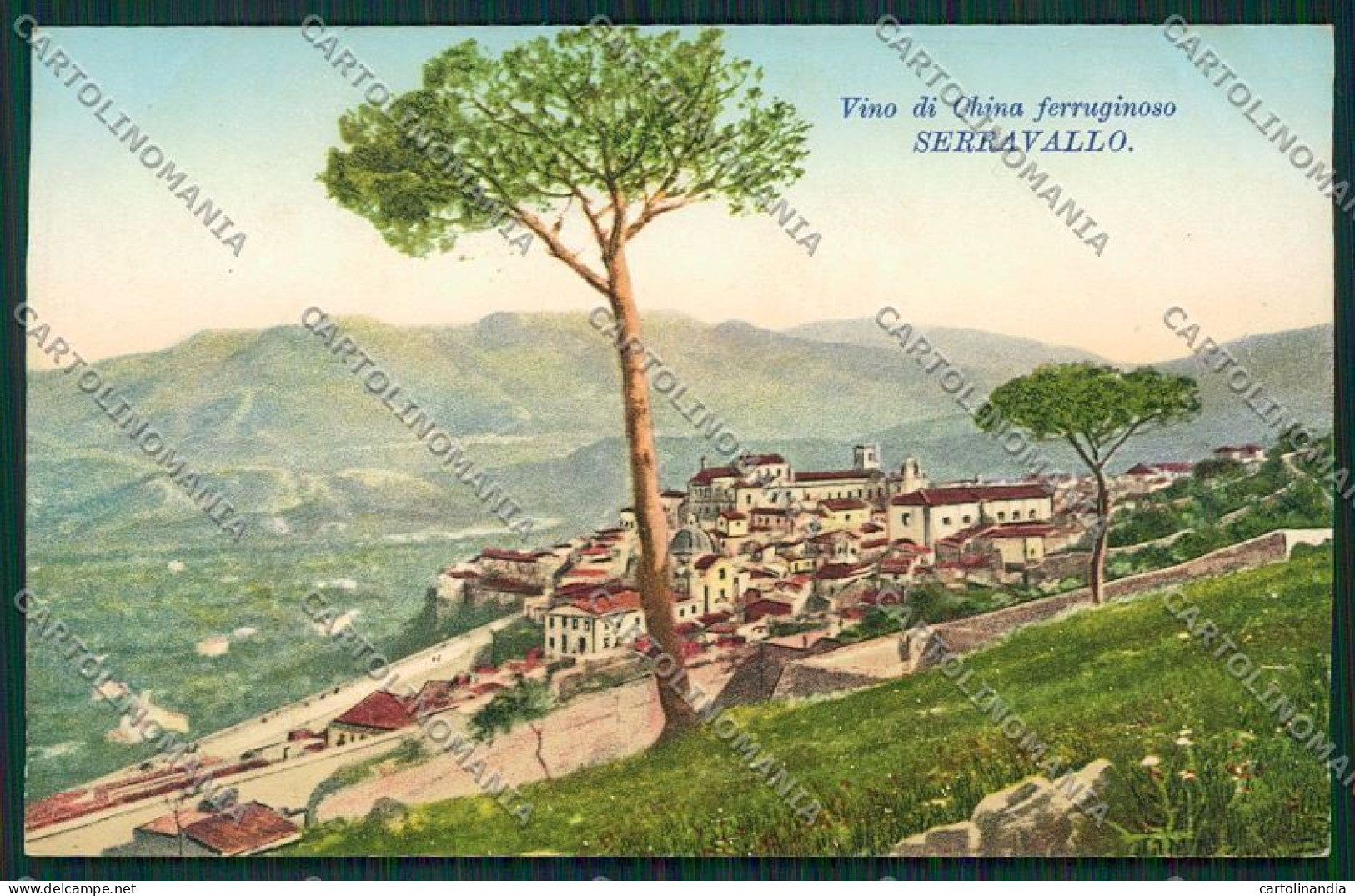 Trieste China Ferruginoso Serravallo Pubblicitaria Monreale Cartolina ZC0971 - Trieste