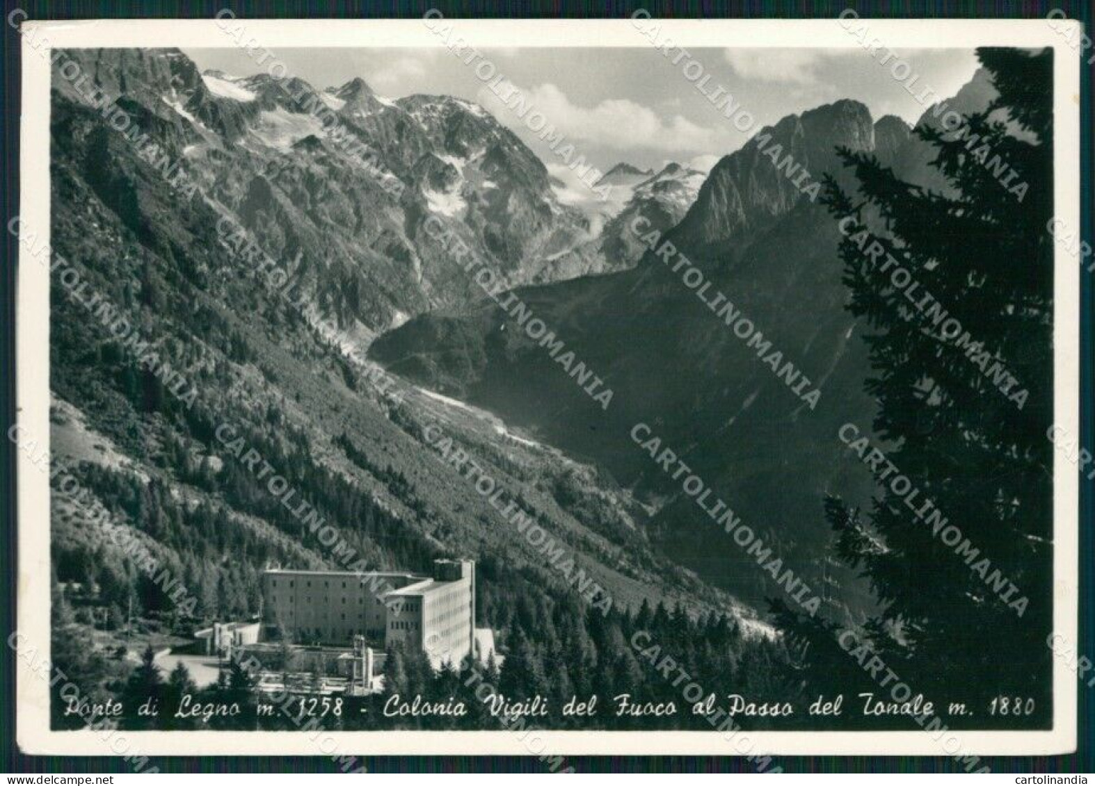 Brescia Ponte Di Legno Passo Tonale Colonia FG Foto Cartolina KB5508 - Brescia