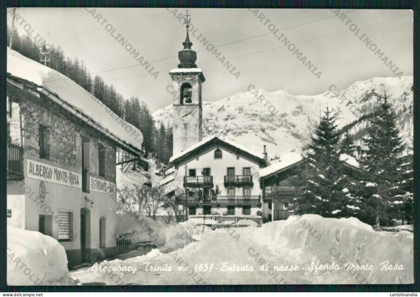 Aosta Gressoney Trinitè Monte Rosa Foto FG Cartolina ZK2038 - Aosta