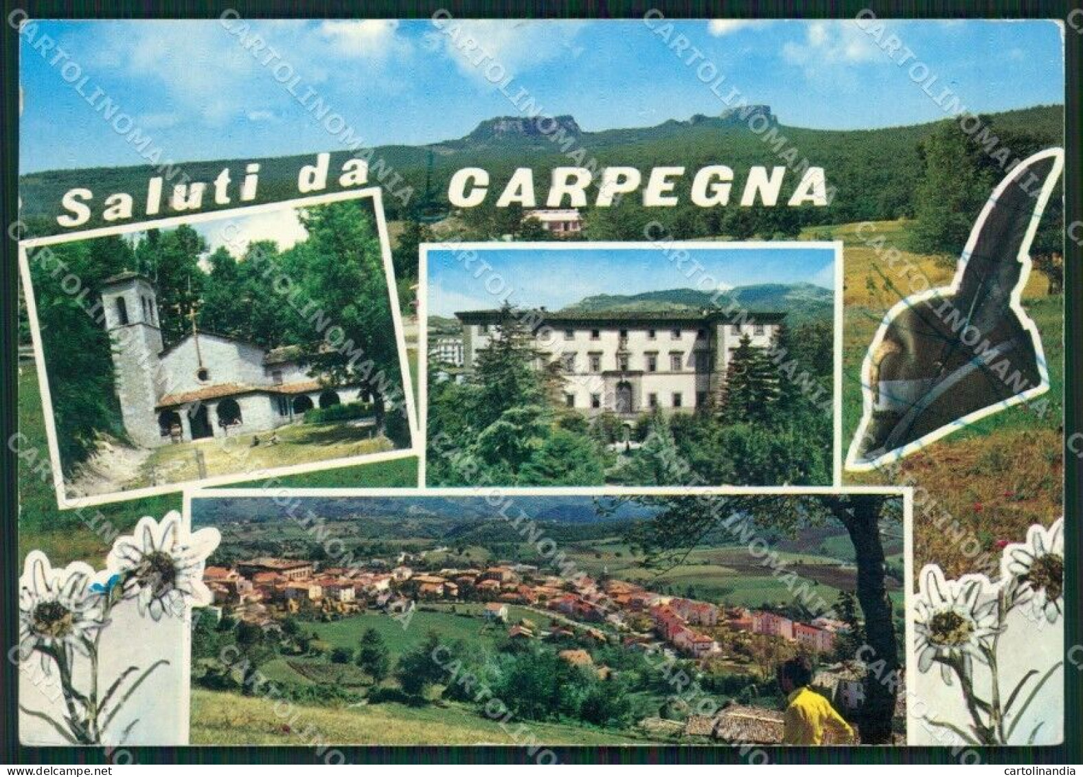 Pesaro Carpegna Saluti Da Alpini Foto FG Cartolina ZKM8224 - Pesaro