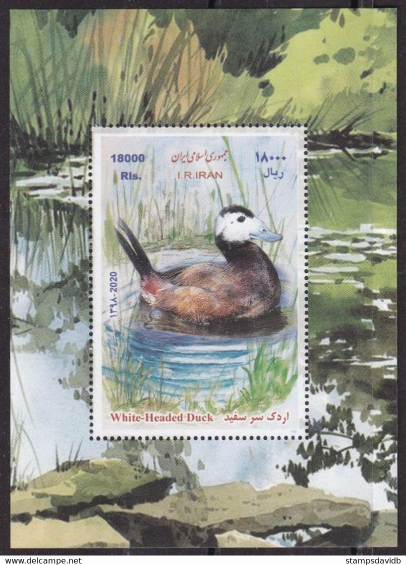 2020 Iran 3462/B87 Birds / Ducks - Canards