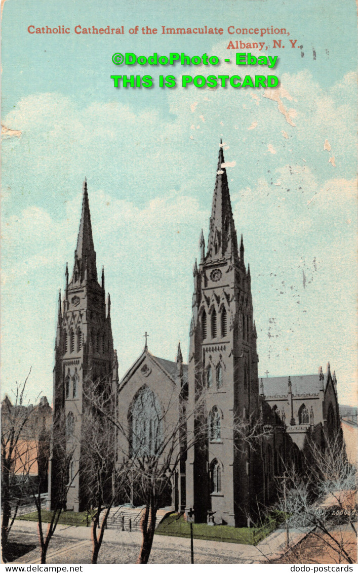 R431606 N. Y. Albany. Catholic Cathedral Of The Immaculate Conception. Leighton - World