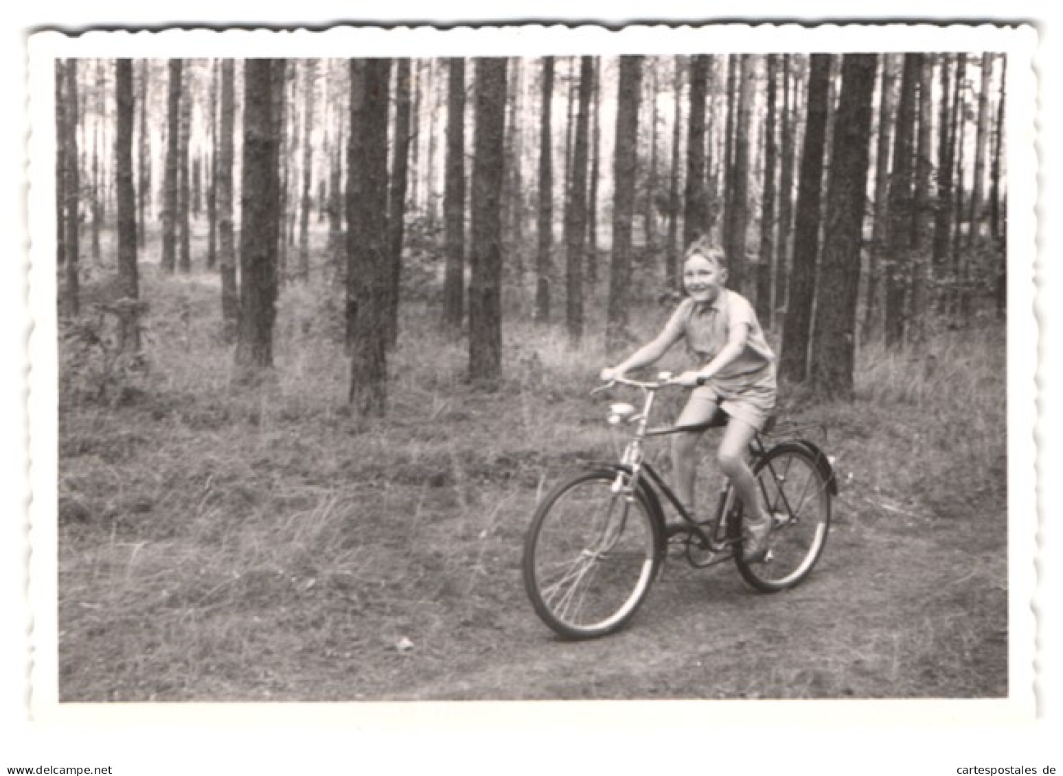 3 Fotografien Knaben Mit Fahrrad, Velo, Bike, Wald Im Berliner Umland 1962-1963  - Radsport