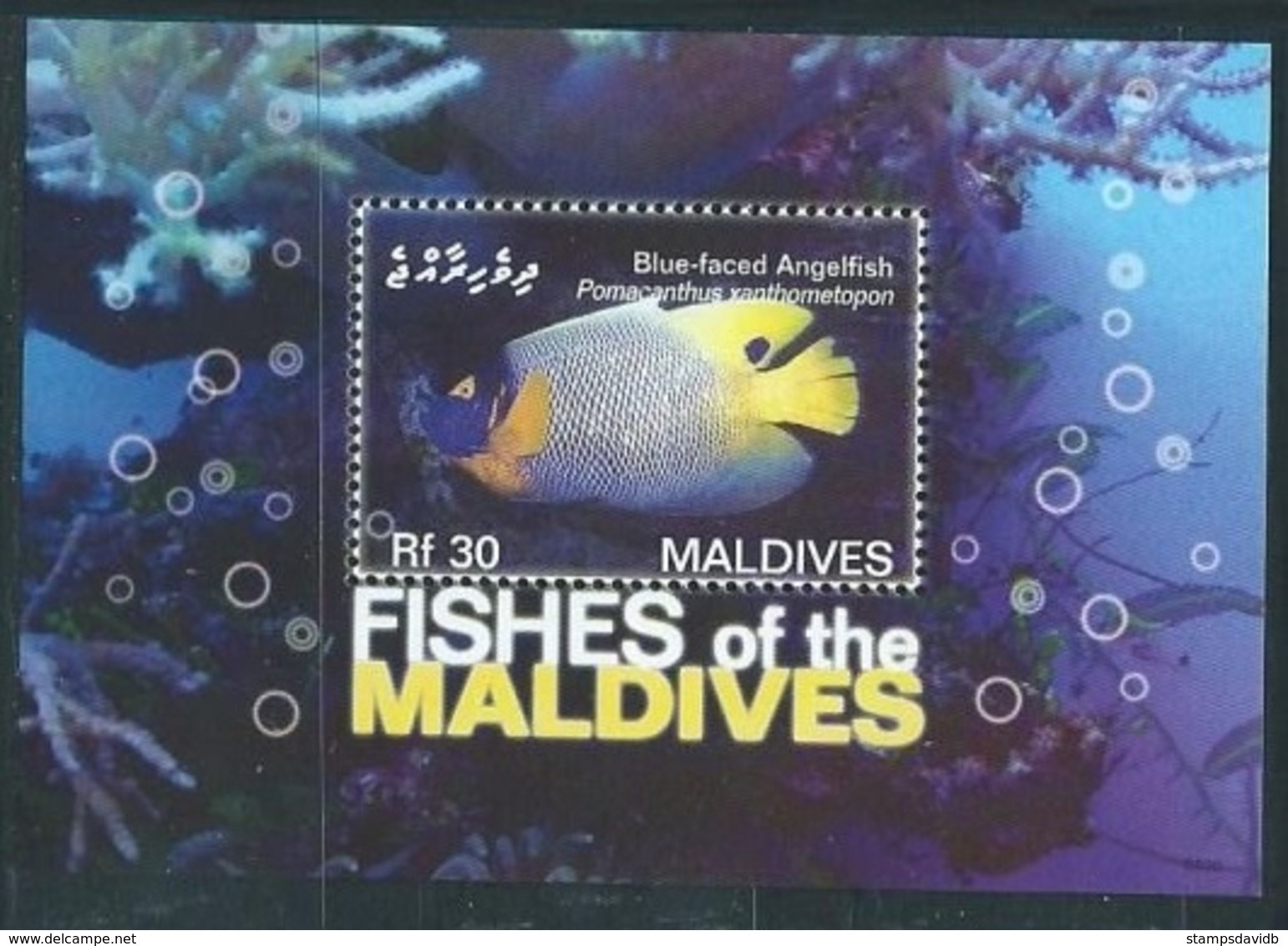 2007	Maldive Islands	4564/B603	Sea Fauna - Mundo Aquatico