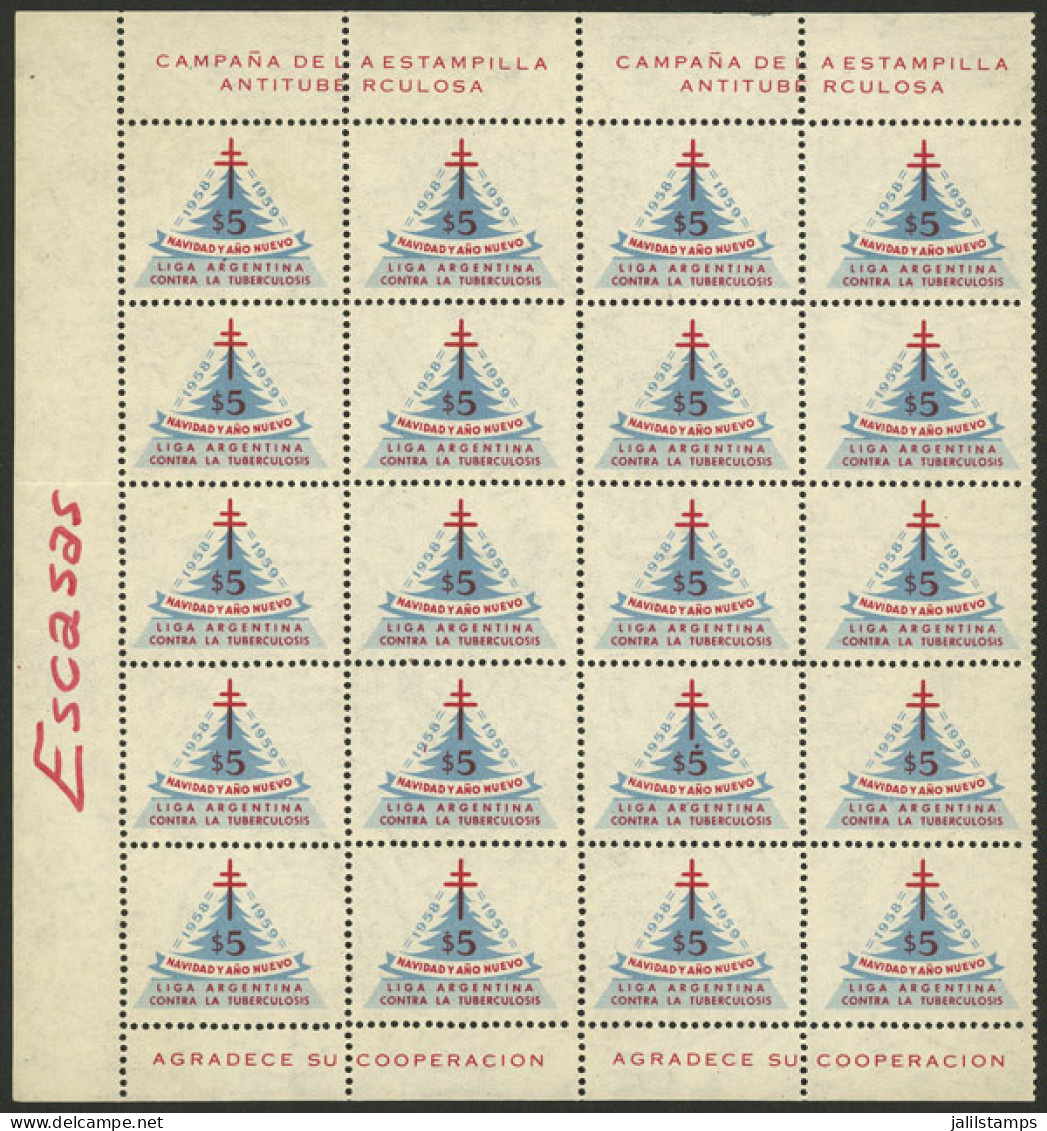 ARGENTINA: Argentine League Of Fight Against Tuberculosis: Charity Cinderella Of 5P. Of Year 1958, Half A Sheet With 20  - Erinnofilie