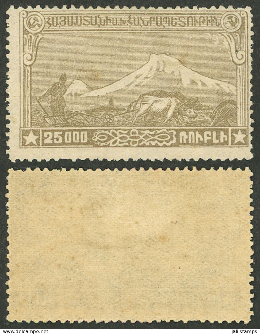 ARMENIA: Sc.294 (ARTAR 683), 1920 Mount Ararat 25,000r. Brown, Mint Full Original Gum, Very Fine Quality! - Armenia