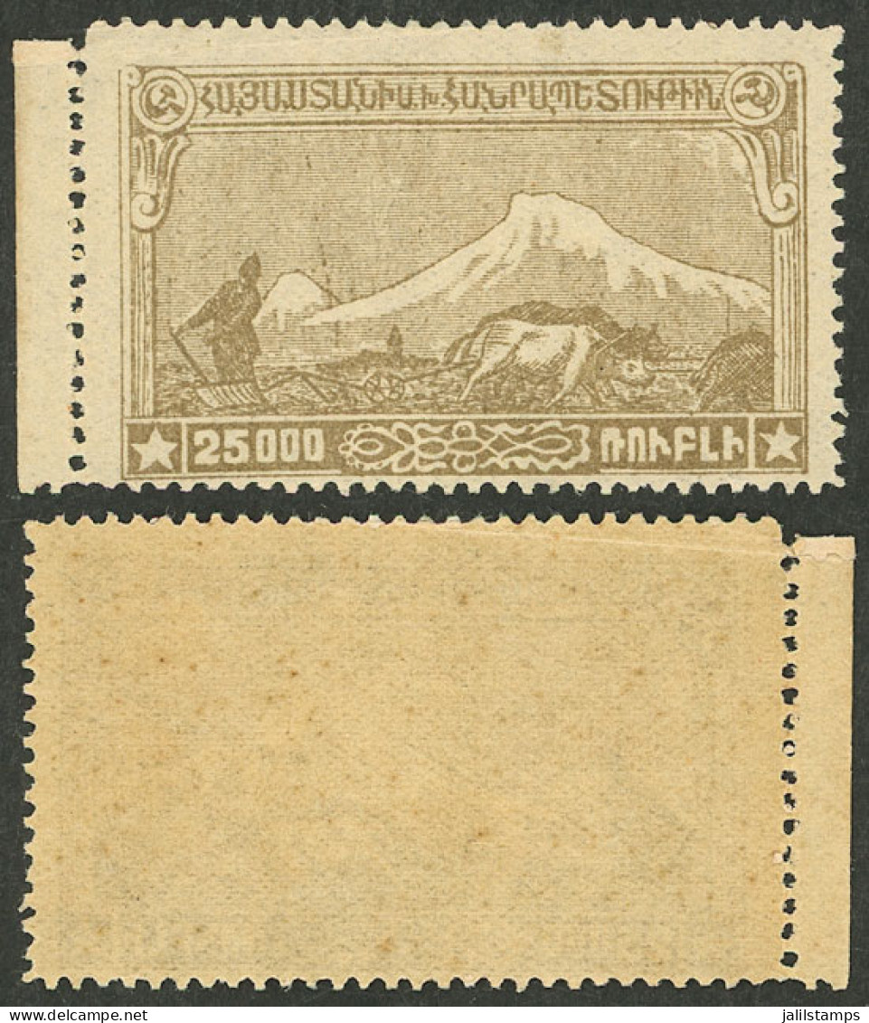 ARMENIA: Sc.294 (ARTAR 683), 1920 Mount Ararat 25,000r. Brown, Mint Full Original Gum, With A Tiny Crease In The Top Bor - Armenia