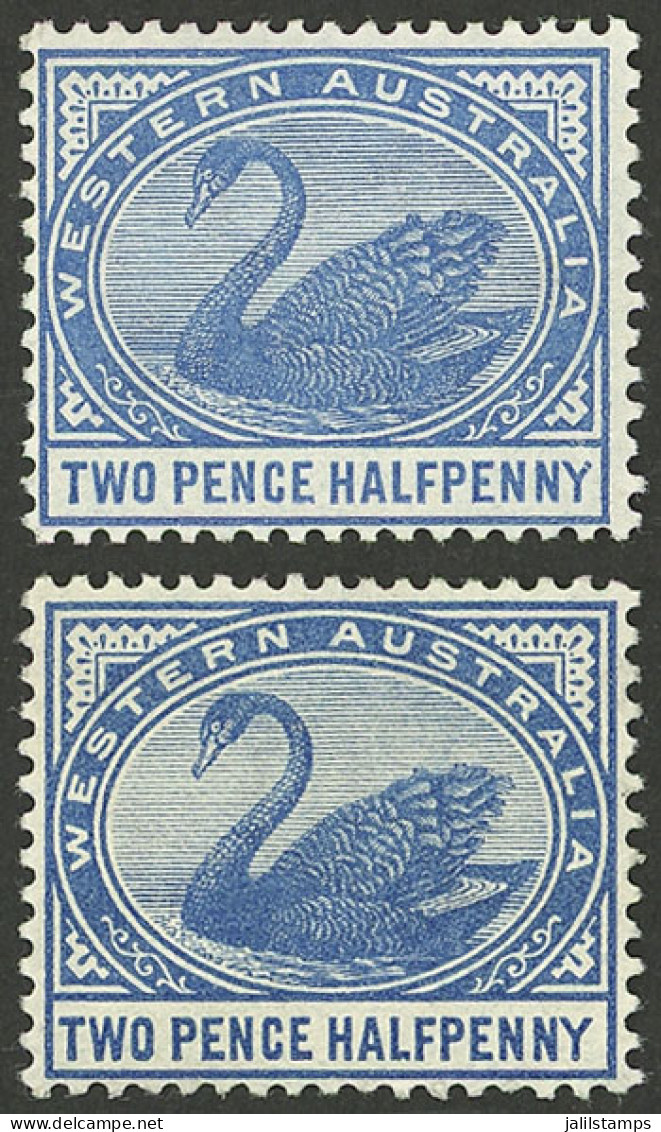 AUSTRALIA: Sc.64, 1890 2½p, 2 Examples In Blue And Light Blue, MNH, Excellent Quality! - Other & Unclassified