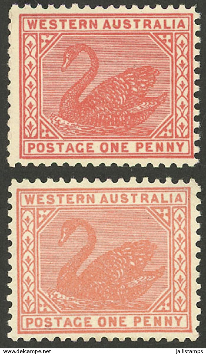 AUSTRALIA: Sc.90, 1905/12 1p. With "Crown - A" Wmk, 2 Examples In Different Shades, MNH, Excellent!" - Autres & Non Classés