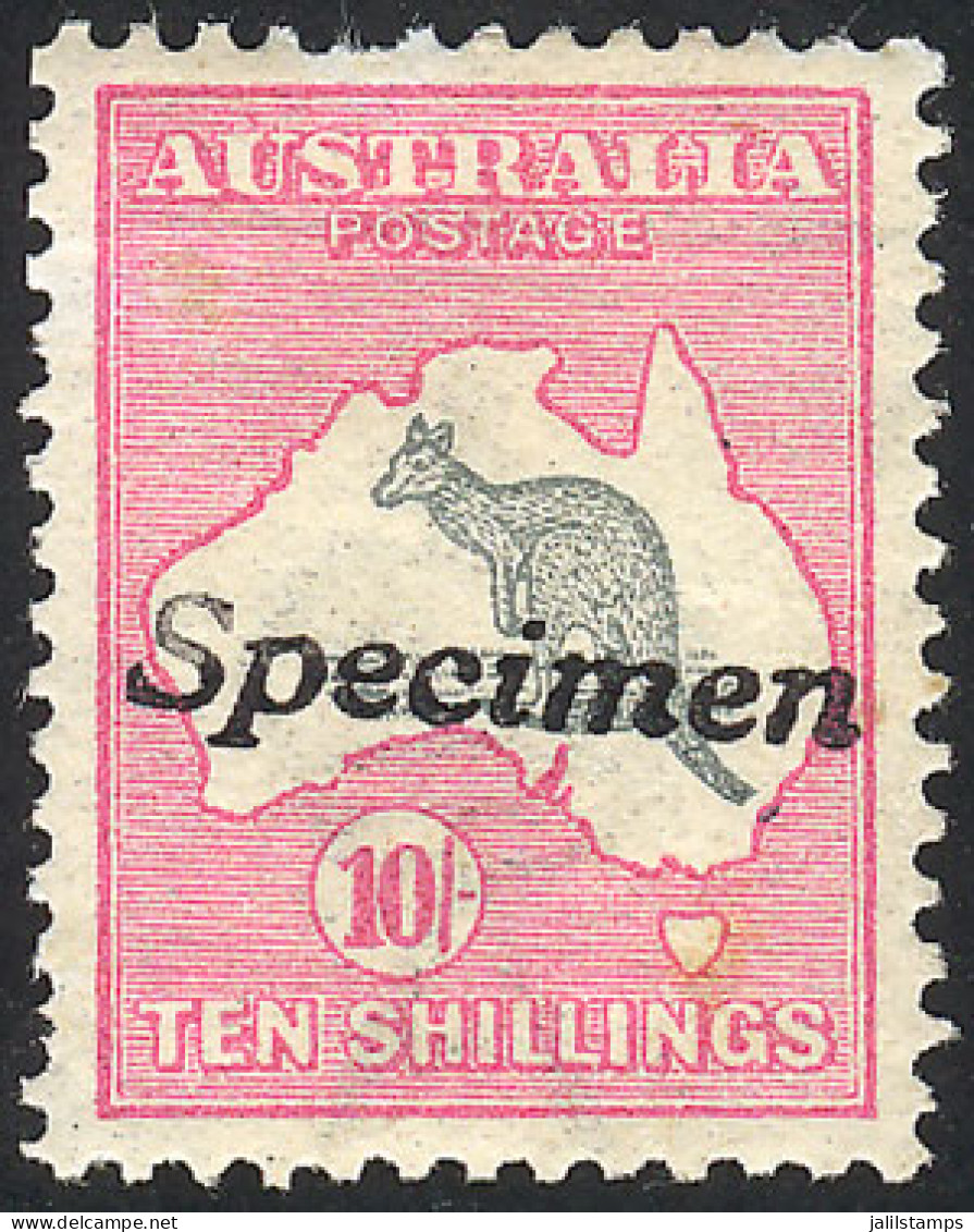 AUSTRALIA: Sc.13, 1913 Kangaroo And Map 10S., With Watermark "wide A And Crown", Perforation 12, With "Specimen" Overpri - Andere & Zonder Classificatie
