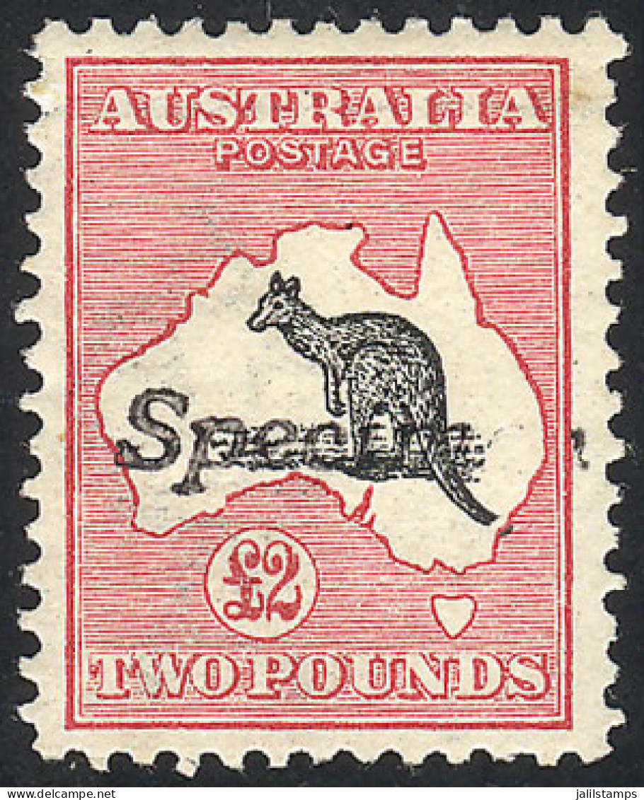 AUSTRALIA: Sc.15, 1913 Kangaroo And Map 2£, With Watermark "wide A And Crown", Perforation 12, With INCOMPLETE "Specimen - Sonstige & Ohne Zuordnung