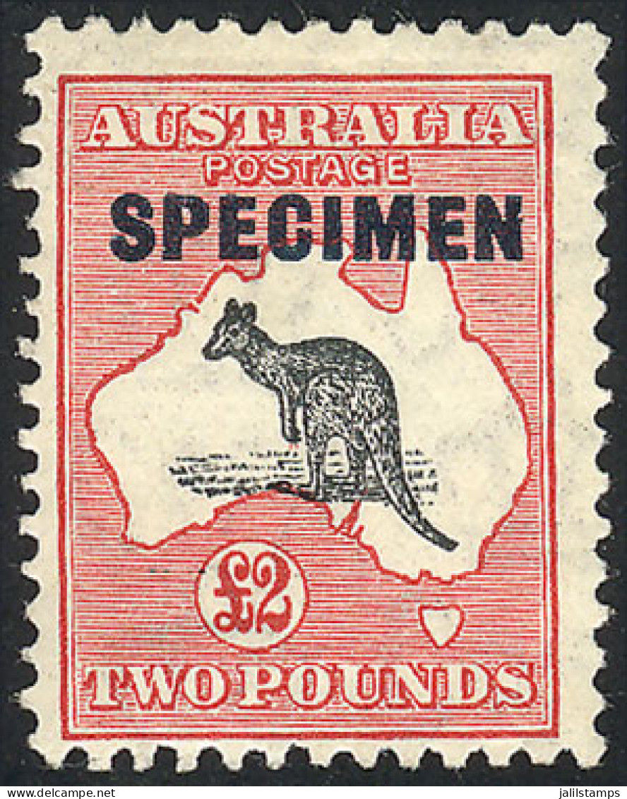 AUSTRALIA: Sc.129, 1931/6 Kangaroo And Map 2£, With Watermark "C Of A With Small Crown", Perf 11½x12, With SPECIMEN Over - Autres & Non Classés