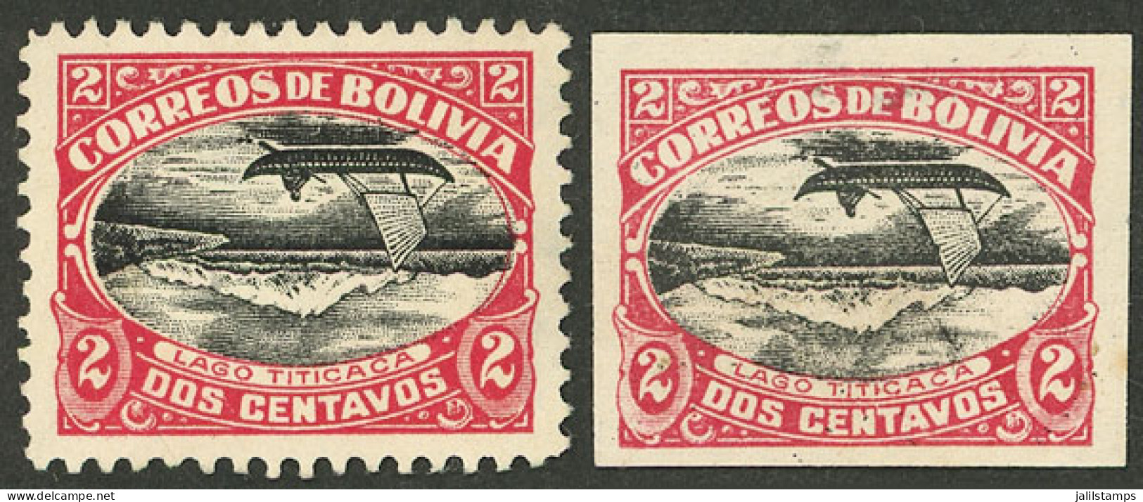 BOLIVIA: Sc.113c, 113d, 1916/7 2c. Titicaca Lake (ship, Mountains), Perforated And Imperforate Stamp, Both With CENTER I - Bolivie