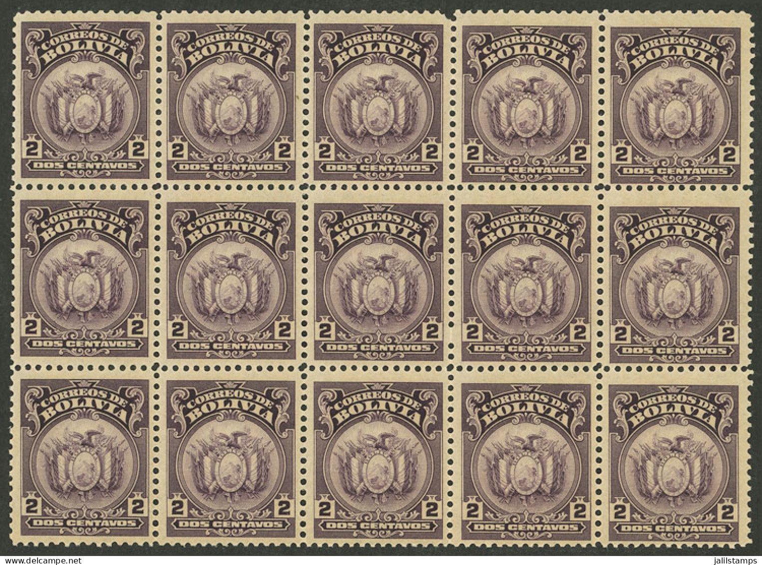BOLIVIA: Yvert 112A (Sc.119), 1919 Coat Of Arms 2c. Violet Printed By American Bank Note Co., Beautiful MNH Block Of 15, - Bolivië