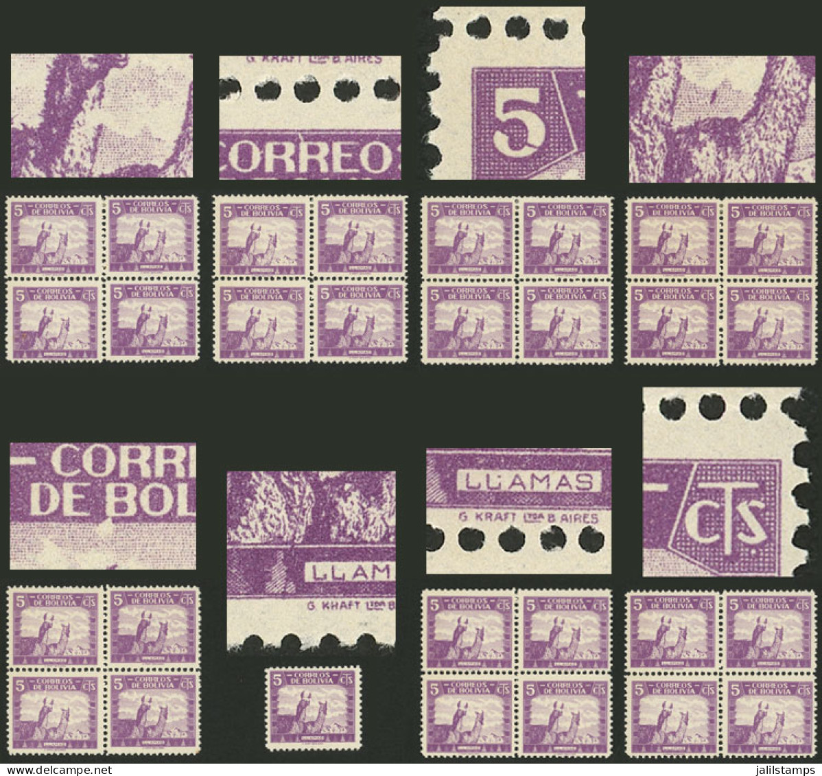 BOLIVIA: Yvert 224, 1939 5c. Llama, 8 Blocks Of 4 + One Single, With Varieties: Cloud On The Neck Of The First Llama", " - Bolivië