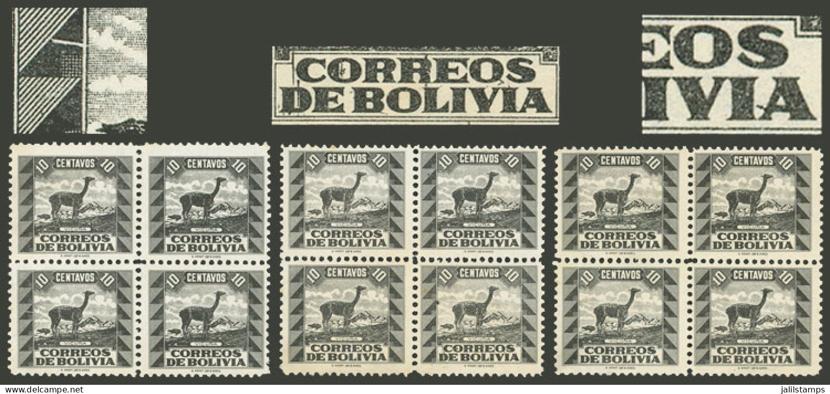 BOLIVIA: Yvert 225, 1939 10c. Vicuña, 3 Blocks Of 4 With Varieties: Third Triangle In The Left Frame Broken", "several A - Bolivia