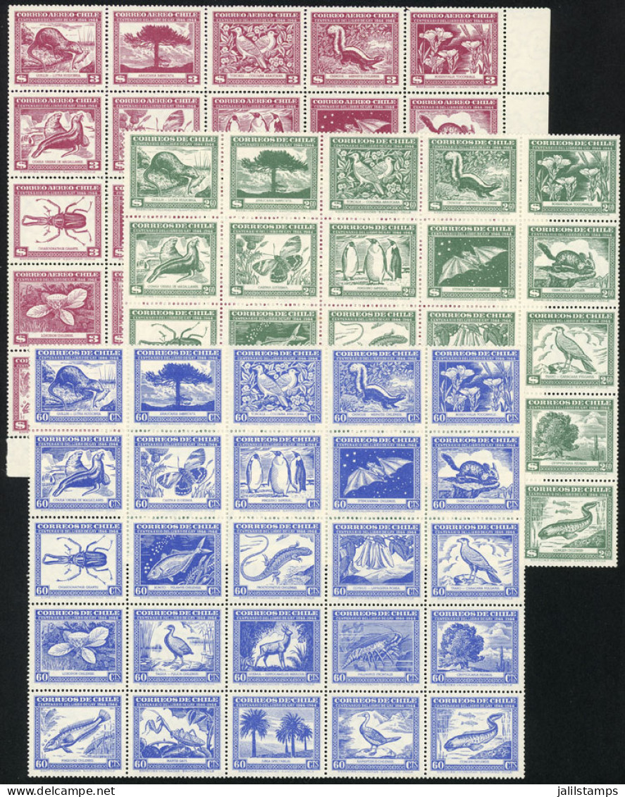 CHILE: Yvert 222/23 + A.121, 1943 Flora & Fauna, Complete Set Of 75 Values In 3 MNH Sheets, VF Quality! - Chile