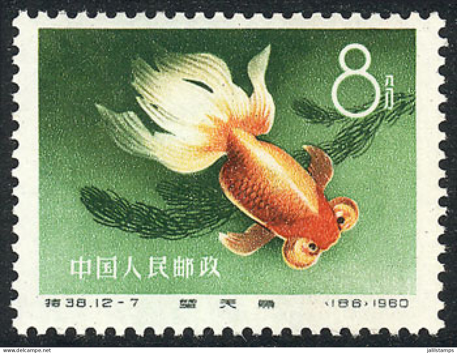 CHINA: Sc.512, 1960 Fish, MNH, Fine Quality, Catalog Value US$100. - Other & Unclassified