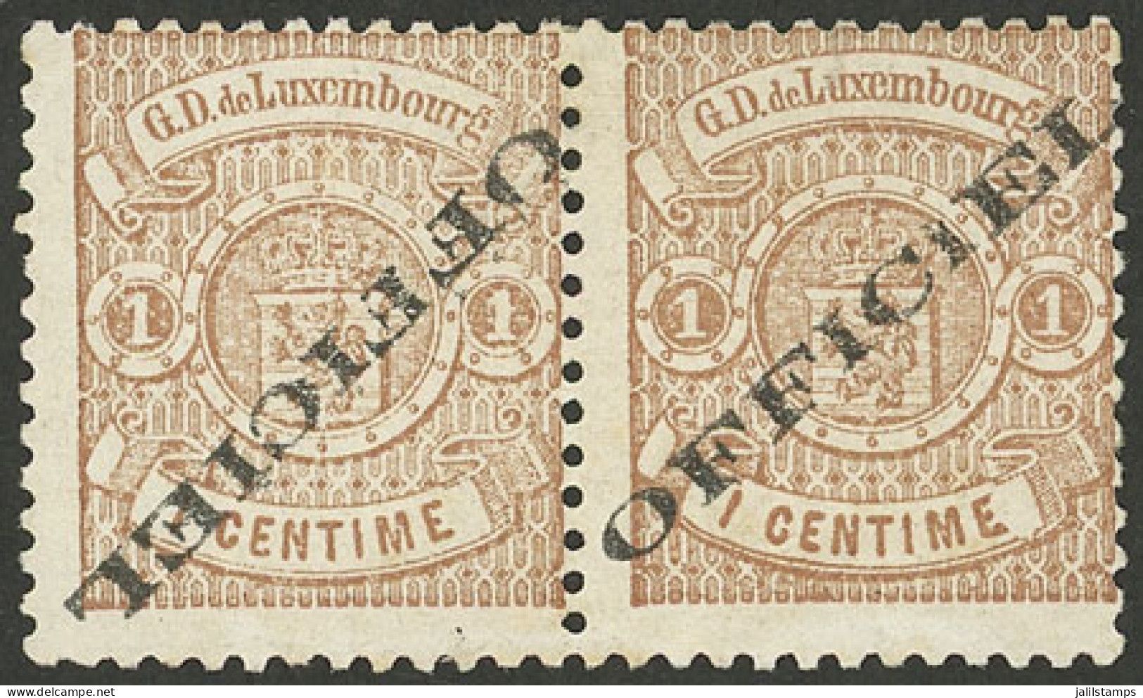LUXEMBOURG: Sc.O11a + O11, 1875/6 1c., Pair, One With INVERTED Overprint, Mint Without Gum, VF Quality! - Otros & Sin Clasificación