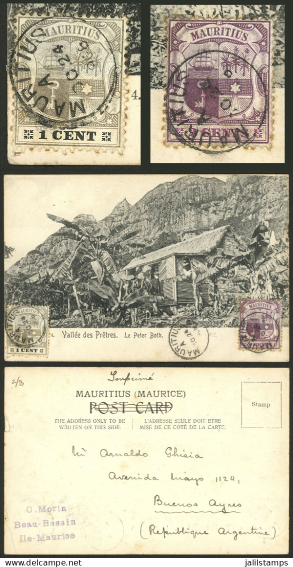MAURITIUS: RARE DESTINATION: 24/OC/1908 Beau-Bassin - Argentina, Postcard With View Of "Vallée Des Pretres - Le Peter Bo - Maurice (...-1967)