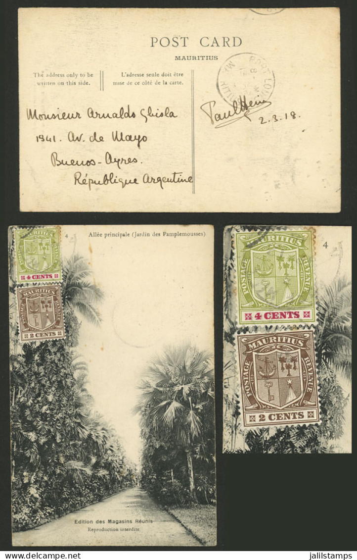 MAURITIUS: RARE DESTINATION: Postcard Franked With 6c. And Sent To Argentina On 13/AP/1918, Unusual Destination, VF Qual - Maurice (...-1967)