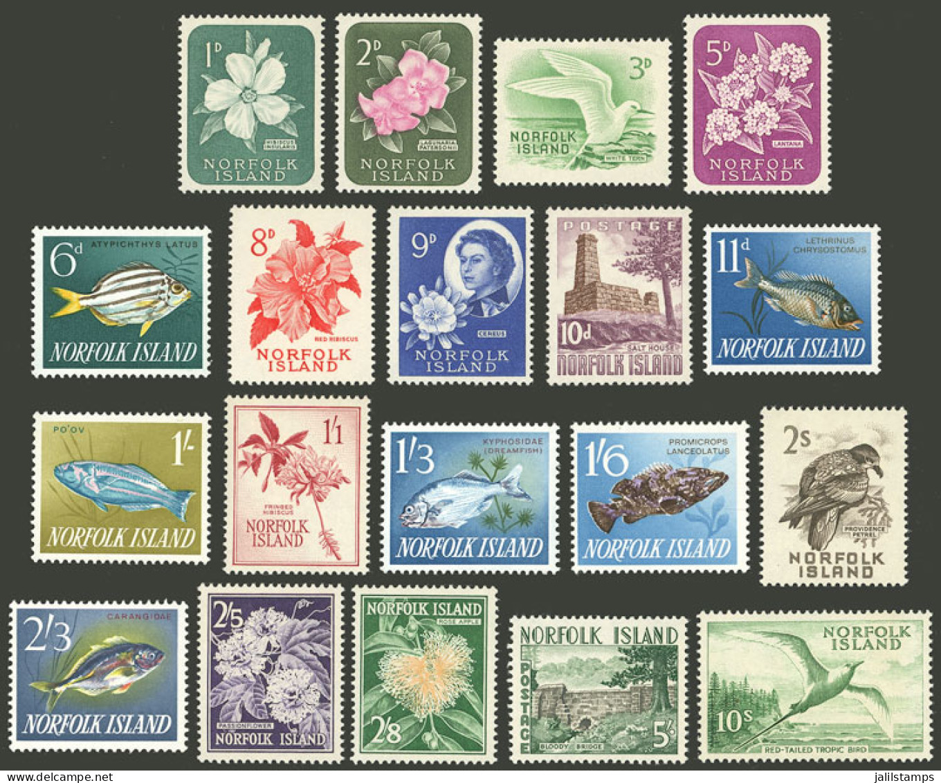 NORFOLK: Yvert 26/44, 1960/3 Flowers, Fish, Birds Etc., Complete Set Of 19 Values, MNH, Excellent Quality! - Norfolk Eiland