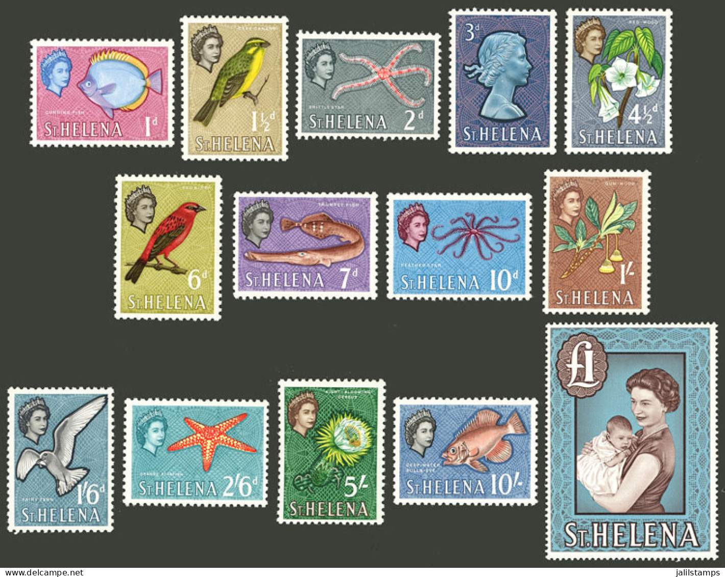 SAINT HELENA: Yv.141/154, Fish, Birds, Flowers, Marine Fauna Etc., Cmpl. Set Of 14 Values, MNH, Excellent Quality! - Sint-Helena