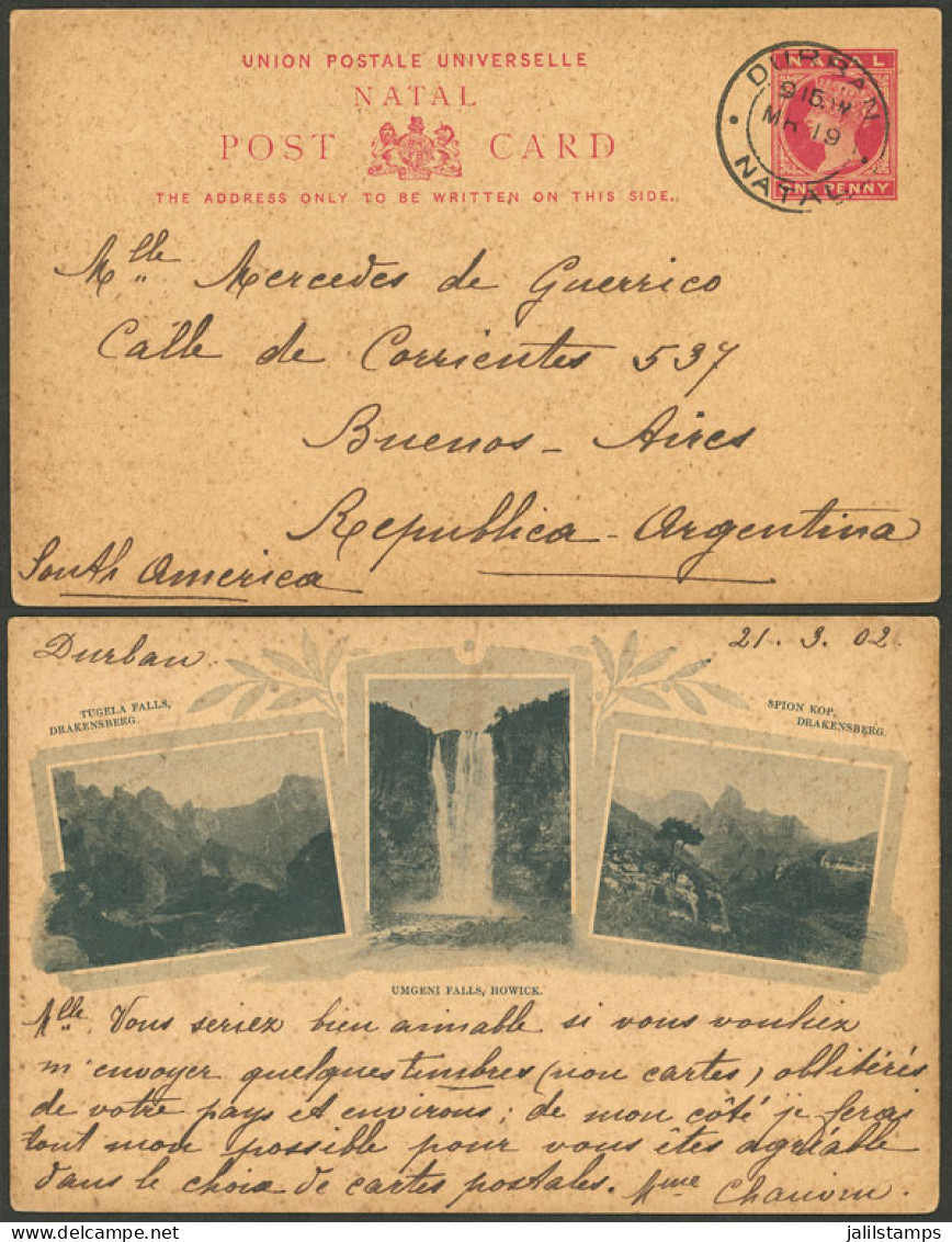 SOUTH AFRICA: Postal Card Of Natal Of 1p. With Printed Illustration On Back: Tugela Falls, Etc.", Sent From Durban To Ar - Ohne Zuordnung