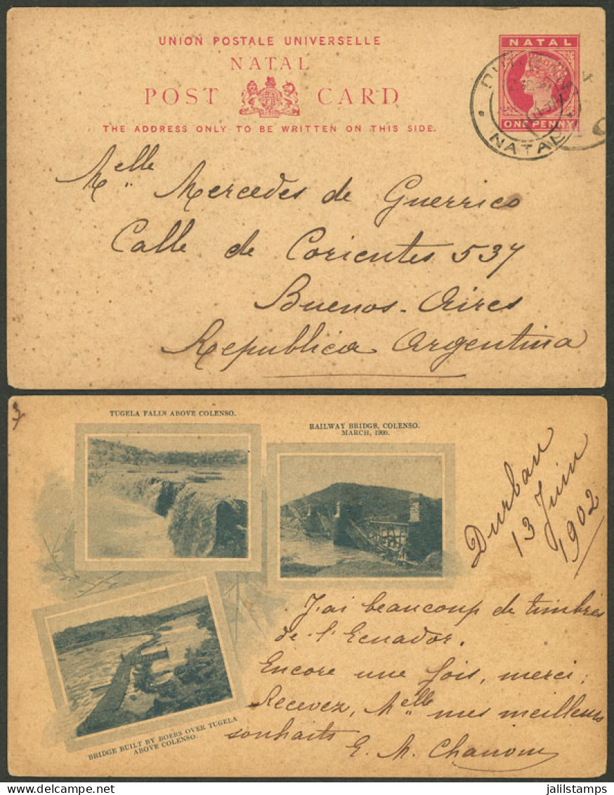 SOUTH AFRICA: Postal Card Of Natal Of 1p. With Printed Illustration On Back: Tugela Falls, Etc.", Sent From Durban To Ar - Zonder Classificatie