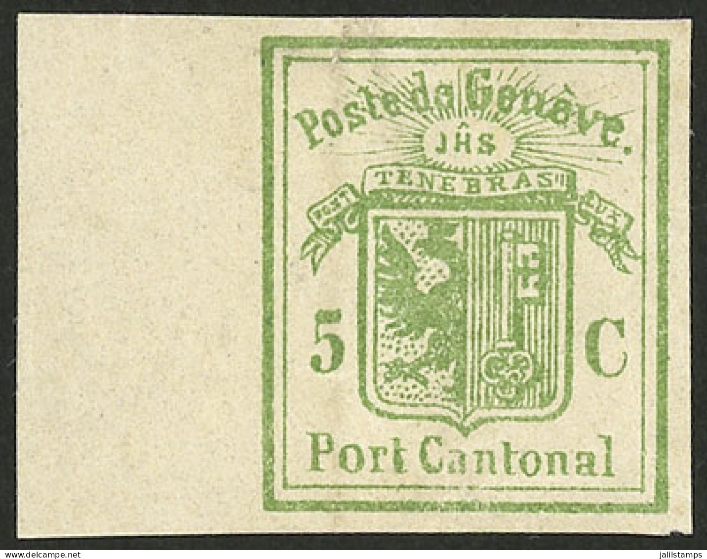 SWITZERLAND: Yvert 4, 1849 Geneva 5c. Green, Cut Square (from Postal Stationery), Mint, Minor Defect At Top, Good Appear - Sonstige & Ohne Zuordnung