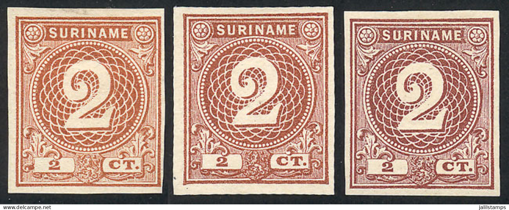 SURINAME: Sc.18, 1890 2c., 3 TRIAL COLOR PROOFS (different Shades), Imperforate, Excellent Quality, Rare! - Surinam