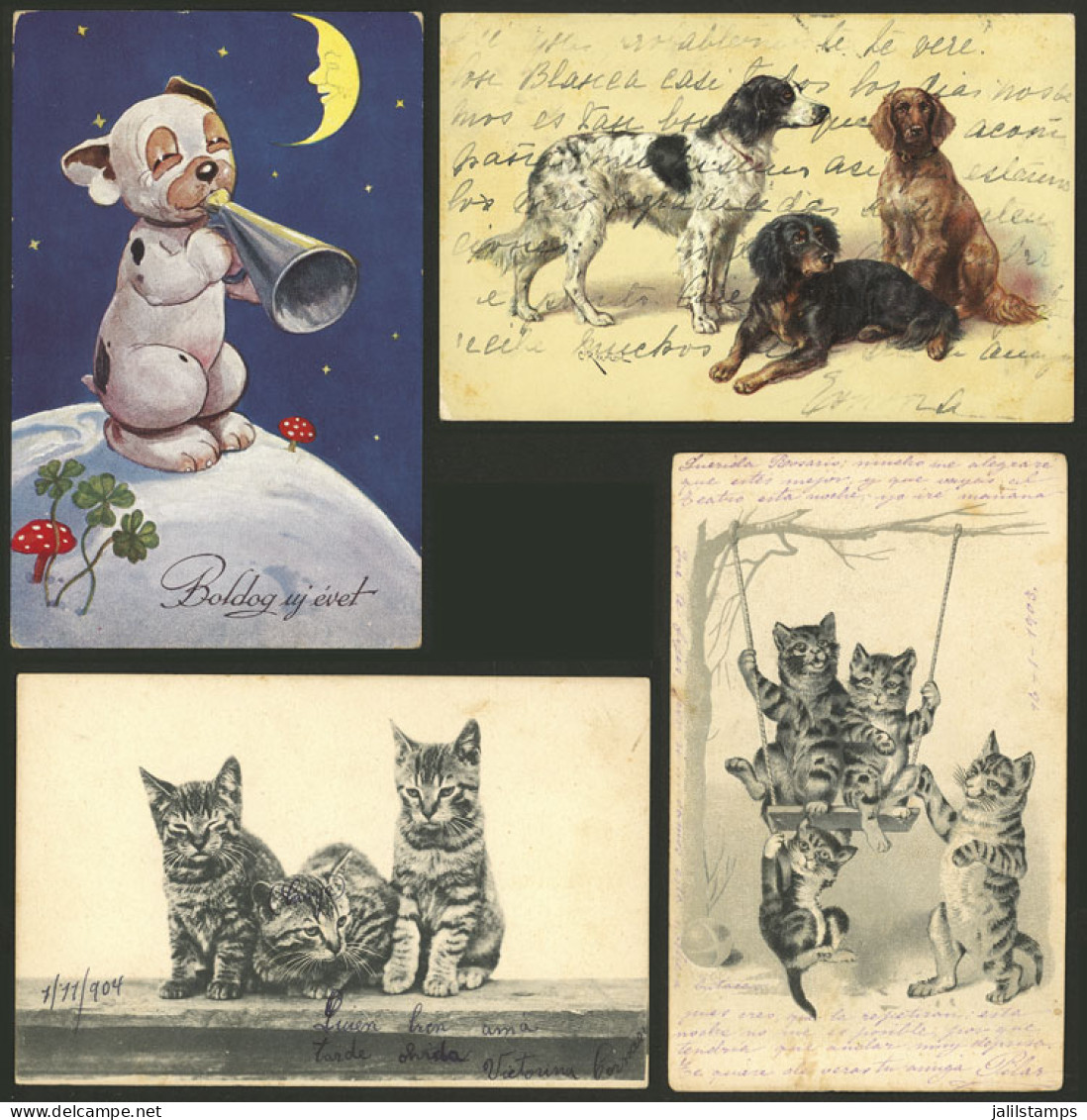 WORLDWIDE: DOGS, CATS: 24 Old Postcards Of Several Countries With Very Good Views, In General Of VF Quality. IMPORTANT:  - Hunde