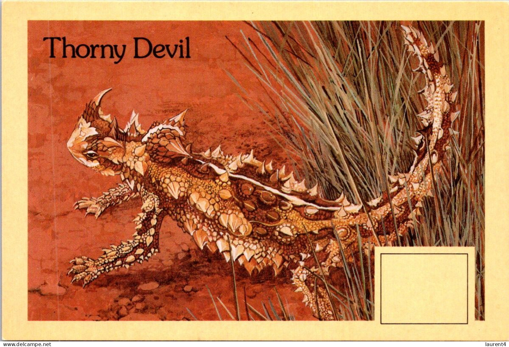 20-4-2024 (2 Z 35) Older Australia Maxicard (Thorny Devil) - Cartas Máxima