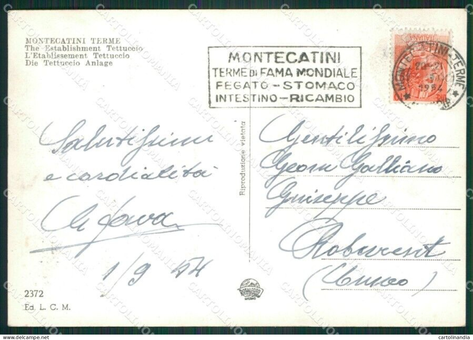 Pistoia Montecatini Terme Auto Foto FG Cartolina ZKM8105 - Pistoia