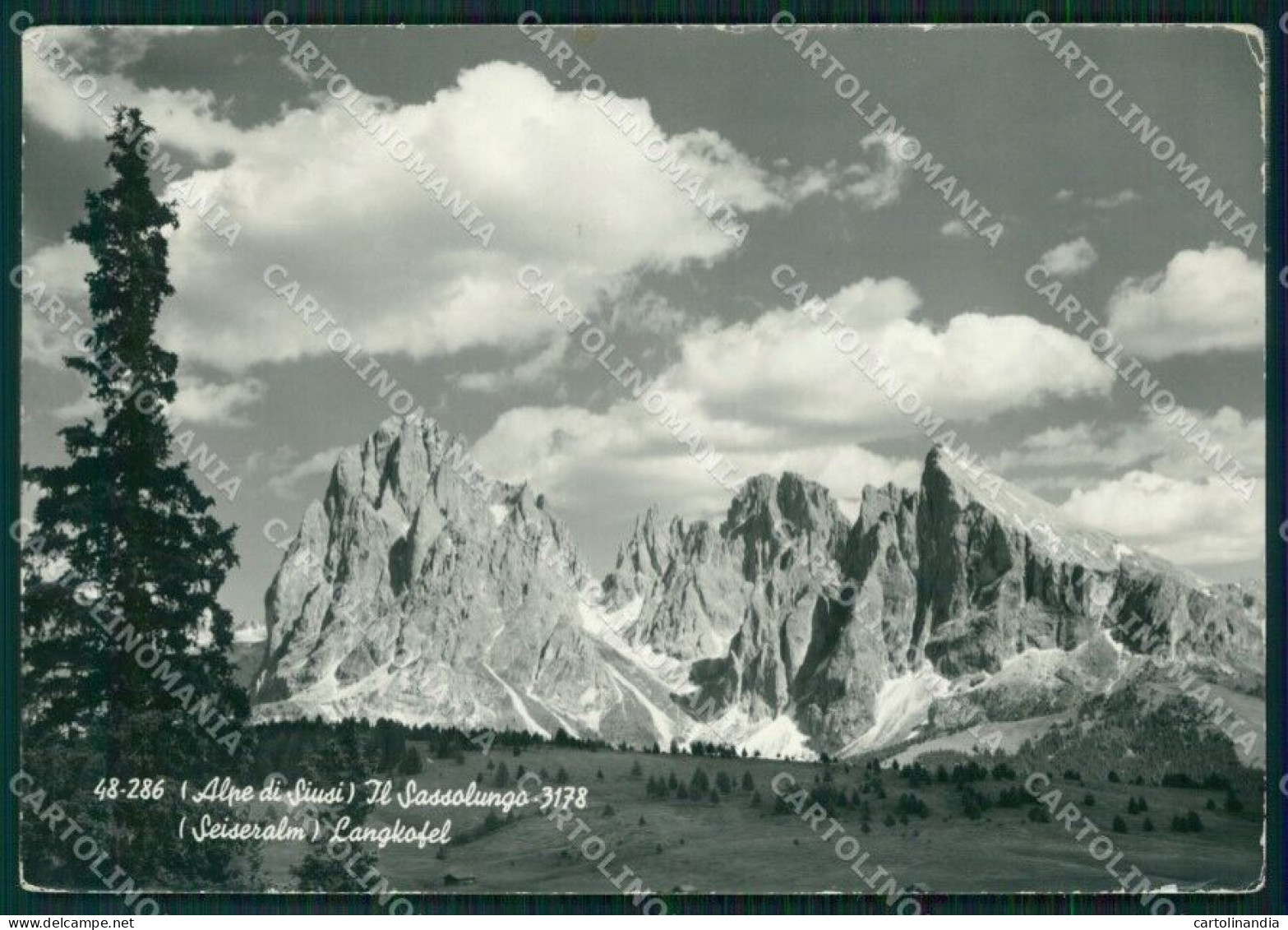 Bolzano Castelrotto Alpe Di Siusi Sassolungo PIEGHE FG Foto Cartolina KB5532 - Bolzano (Bozen)