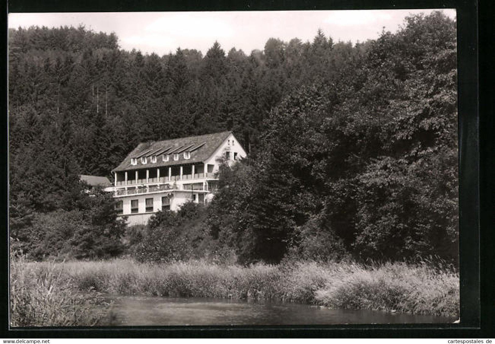 AK Dodenau / Eder, Hotel Und Waldpension Ederblick  - Autres & Non Classés