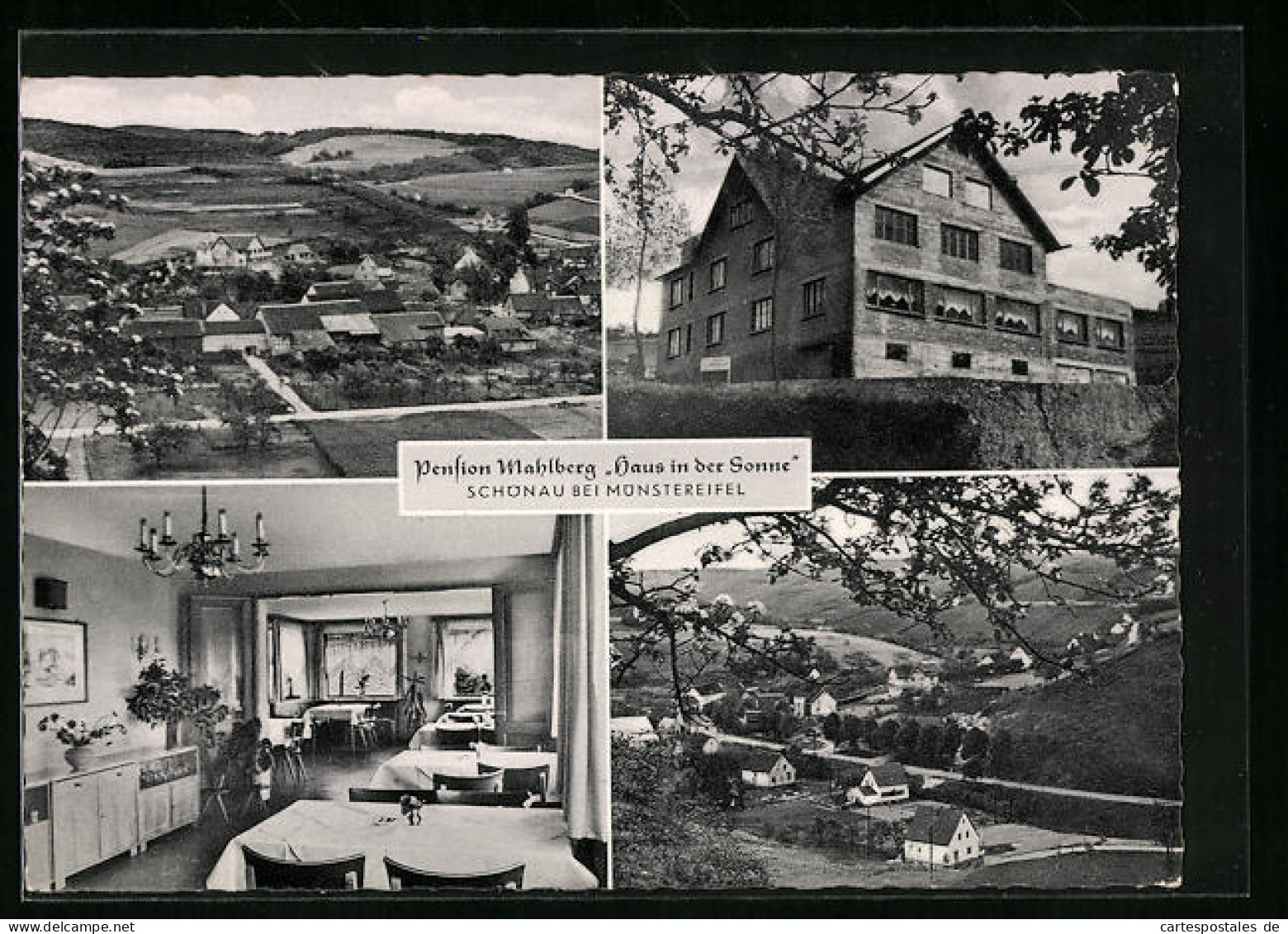 AK Schönau Bei Münstereifel, Hotel-Pension Mahlberg Haus In Der Sonne  - Muenster