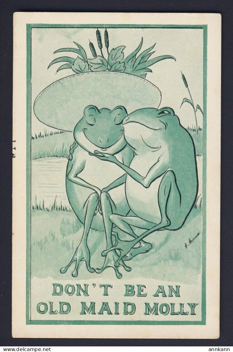 Romantic Frogs - Don't Be An Old Maid Molly - H. Horina Artist - Other & Unclassified