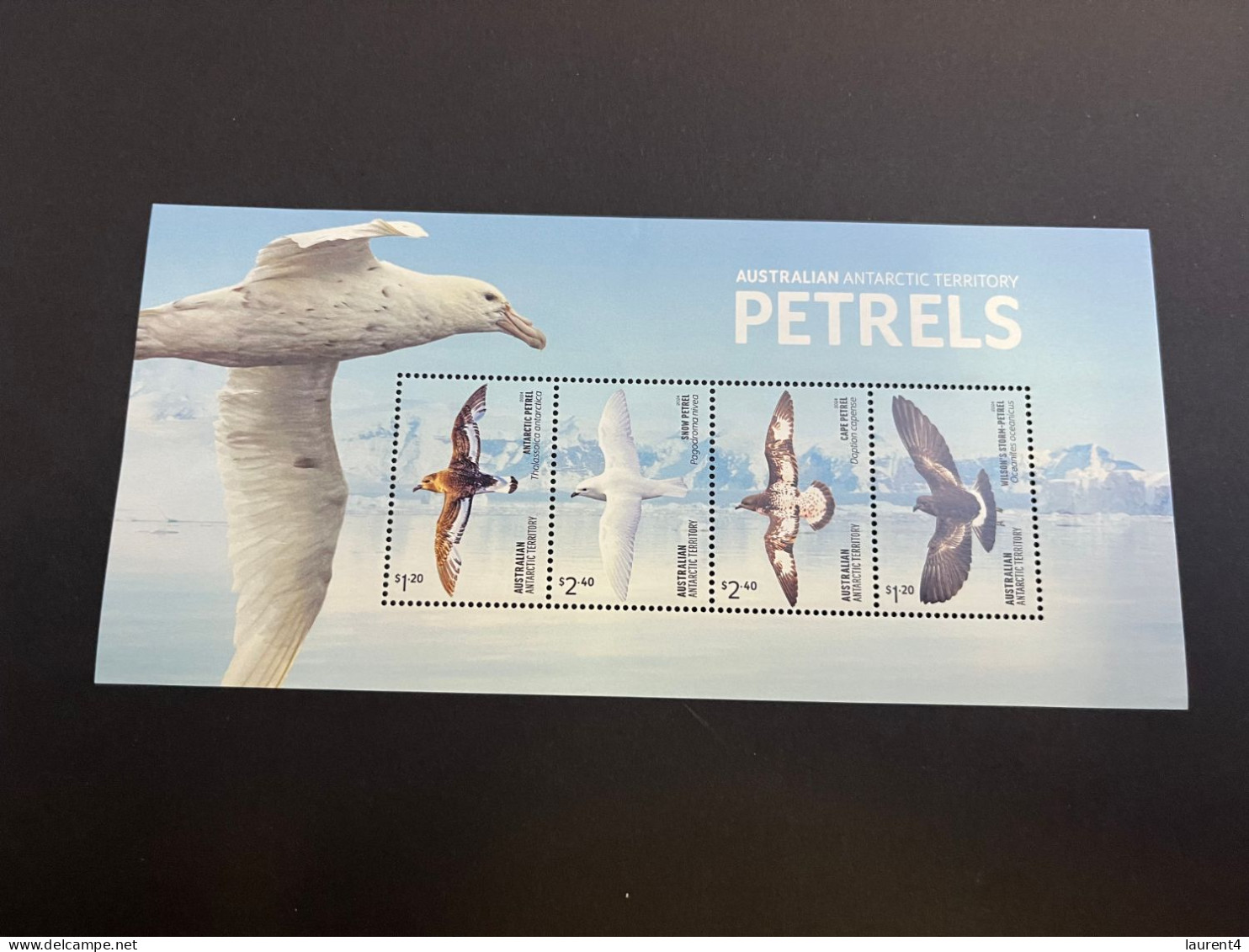 20-4-2024 (stamp) Mint (neuve) Mini-sheet - Australia AAT - 2024 (if Not Sold Will No Be Re-listed) Petrel Birds - Unused Stamps