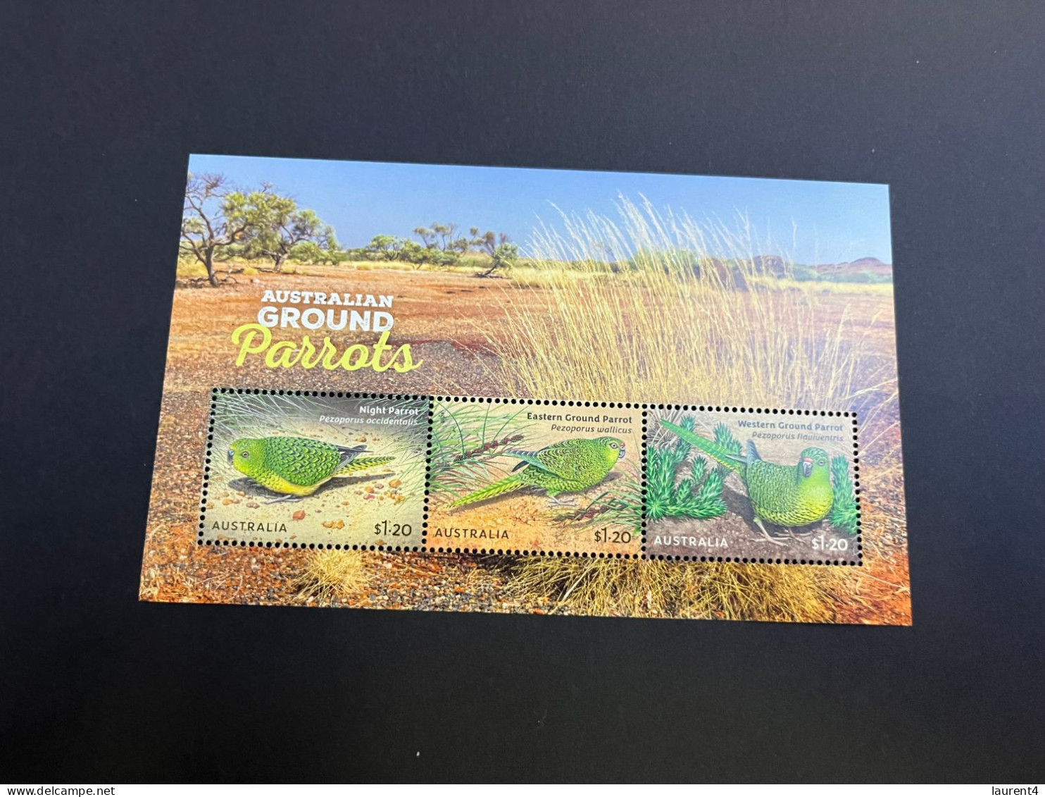 20-4-2024 (stamp) Mint (neuve) Mini-sheet - Australia - 2024 (if Not Sold Will No Be Re-listed) Grounds Parrots - Hojas Bloque