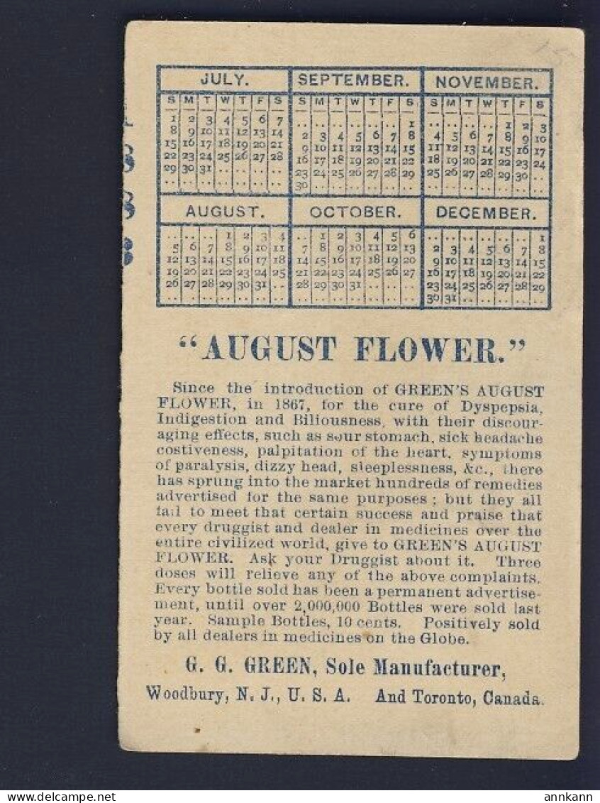 G.G. GREEN N.J. USA & Toronto CANADA VTC - AUGUST FLOWER C.1888 Druggist - Otros & Sin Clasificación