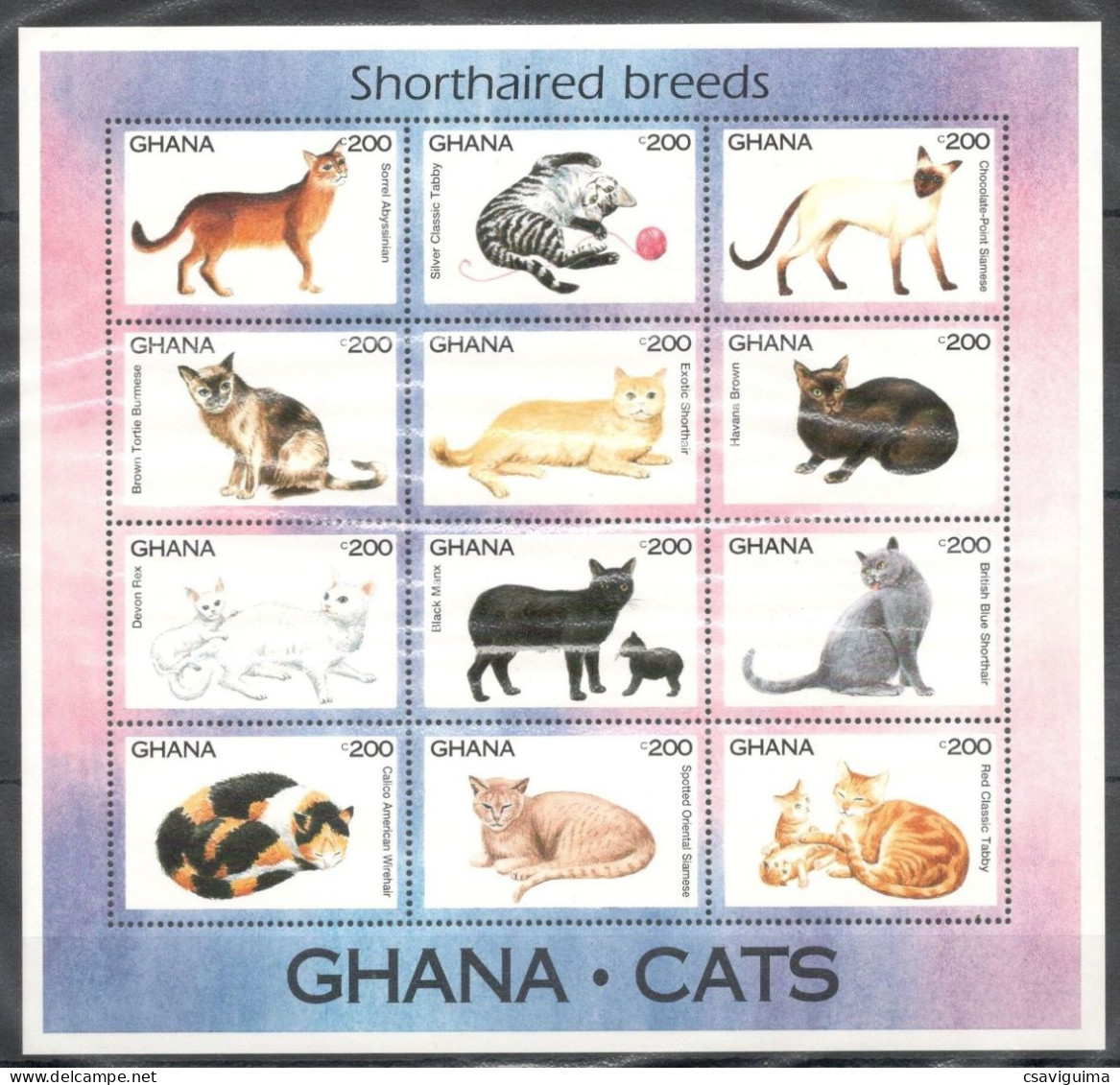 Ghana - 1994 - Cats - Yv 1595/02 - Chats Domestiques
