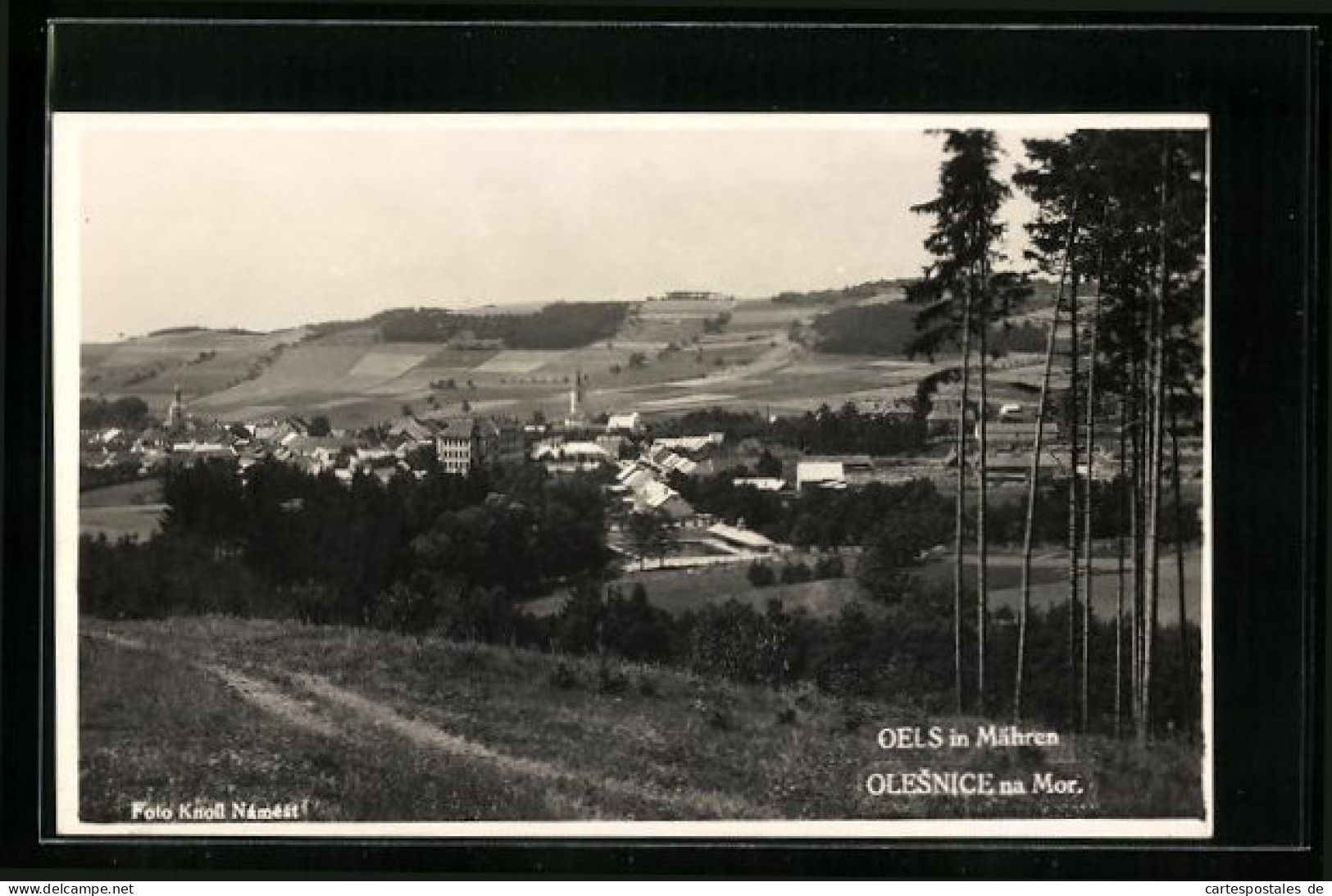 AK Olesnice Na Mor., Panorama  - Tschechische Republik