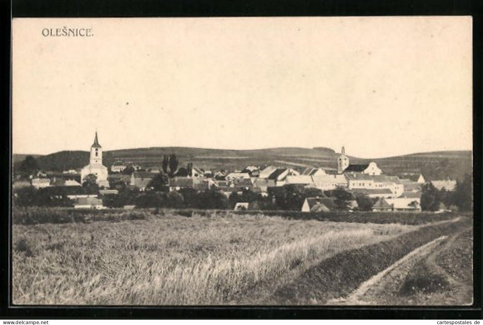 AK Olesnice, Panorama  - Tchéquie
