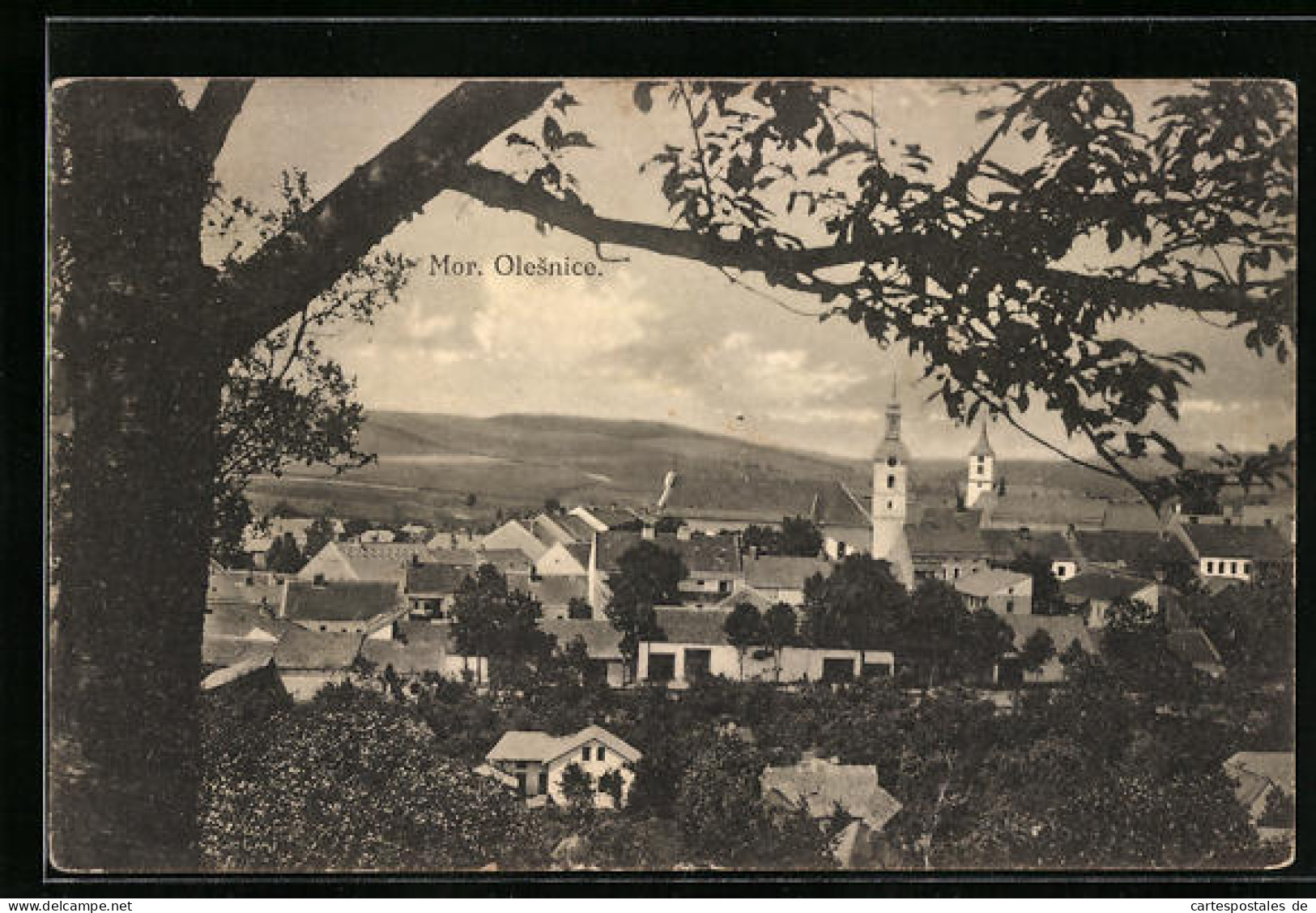 AK Mor. Olesnice, Panorama  - República Checa