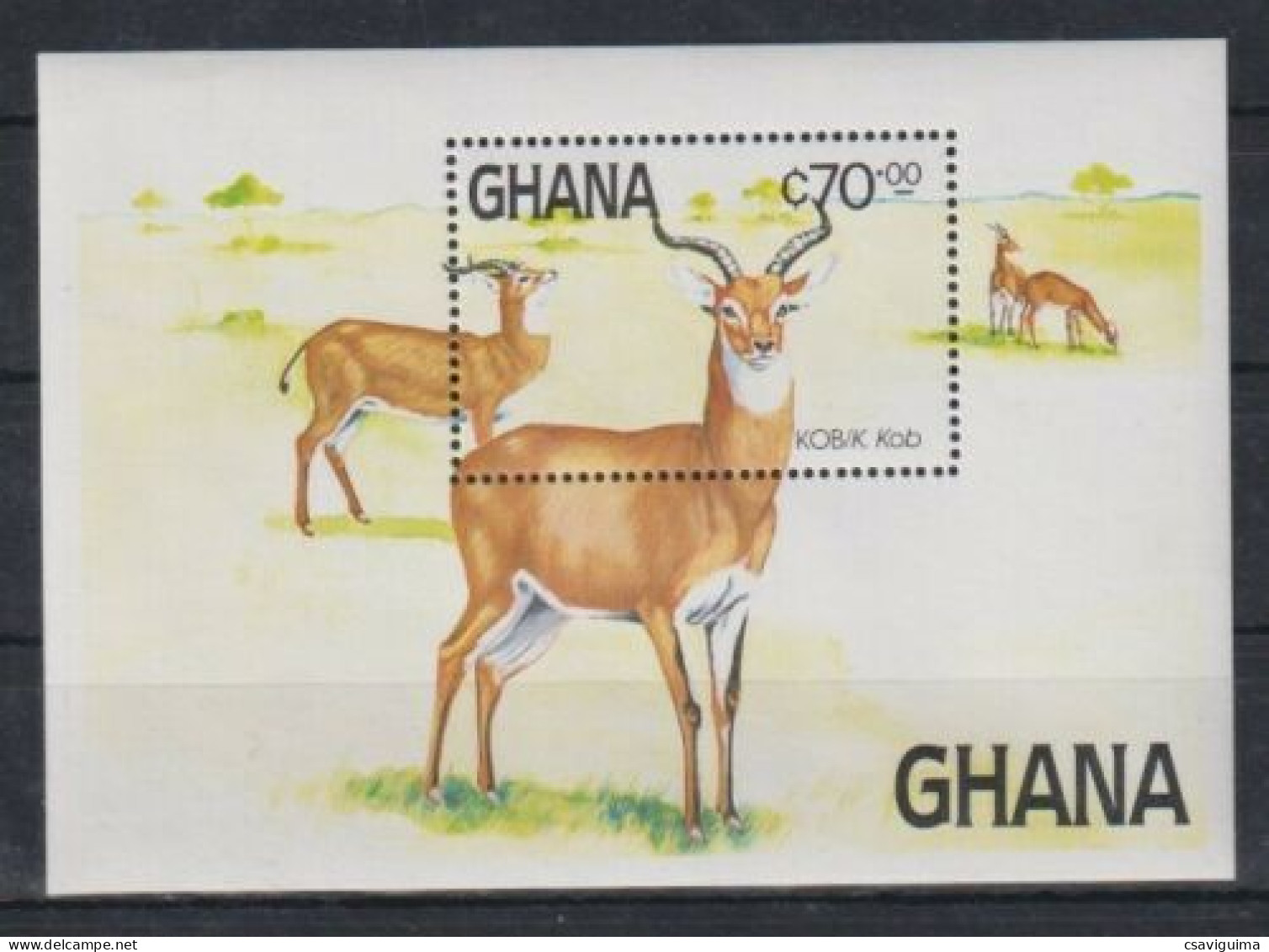 Ghana - 1984 - Antiloppes - Yv Bf 110 - Other & Unclassified