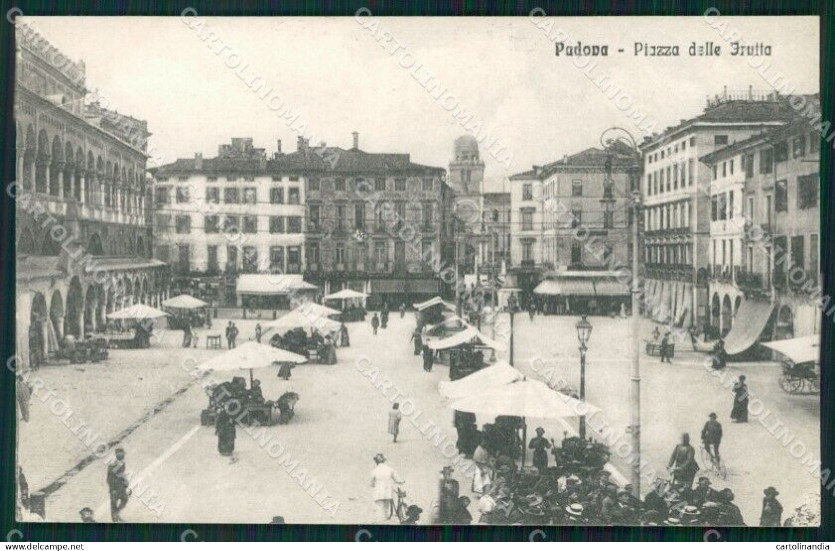 Padova Città Piazza Delle Frutta Mercato Cartolina QT3830 - Padova (Padua)