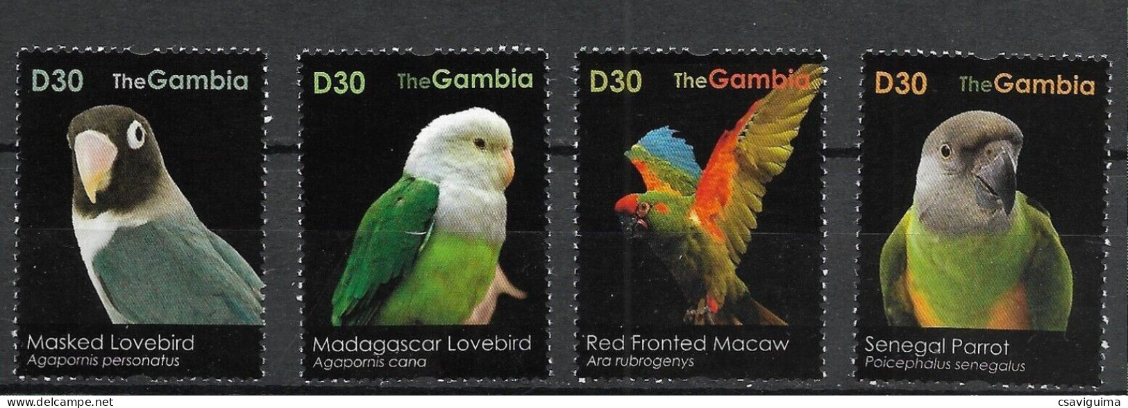 Gambia - 2011 - Birds : Parrots - Yv 5072/75 (from Sheet) - Papegaaien, Parkieten