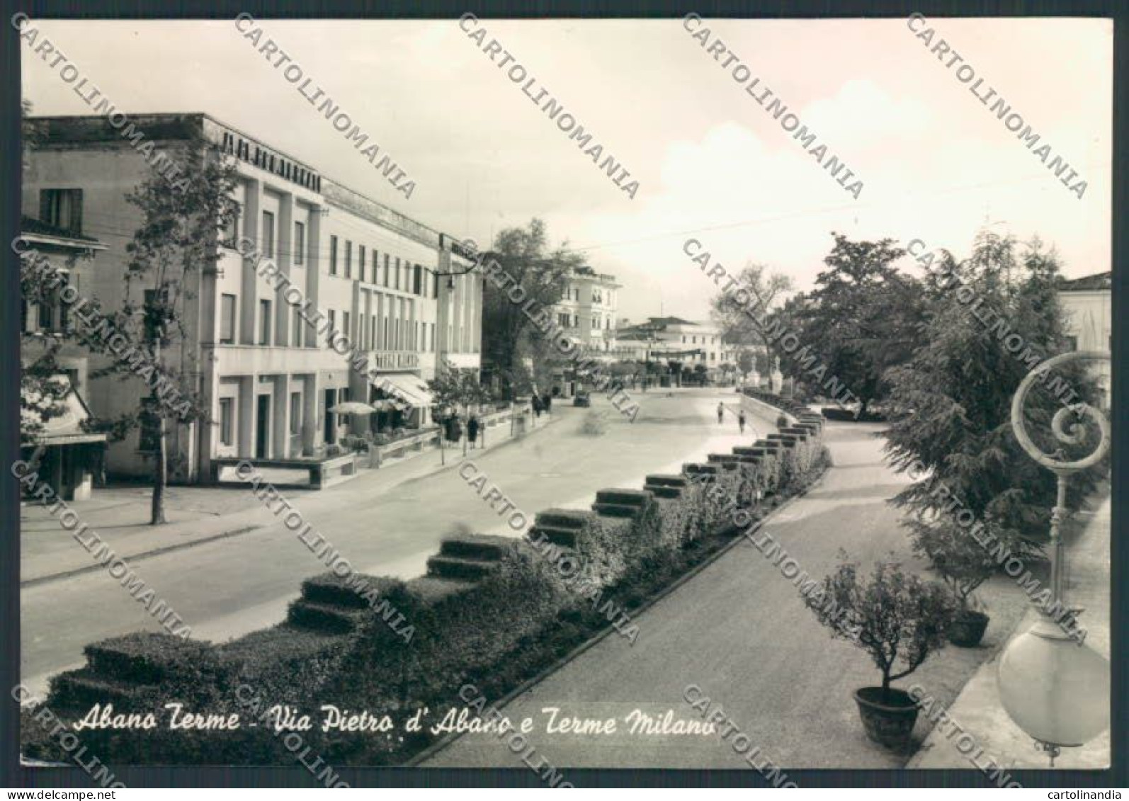 Padova Abano Terme Foto FG Cartolina ZF1342 - Padova (Padua)